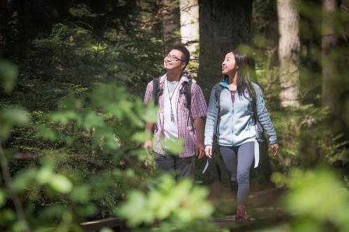 Hikers in King County, WA