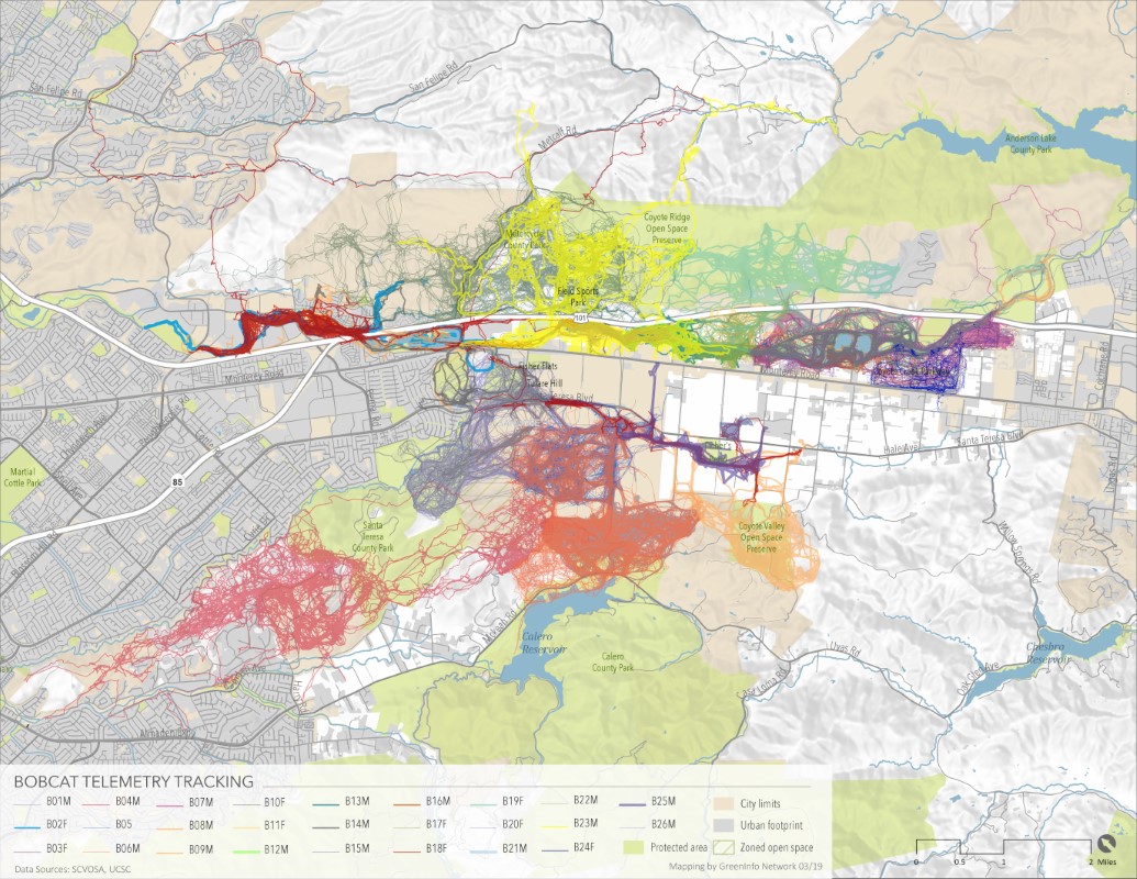 Mapping Wildlife Crossings in San Jos&eacute;