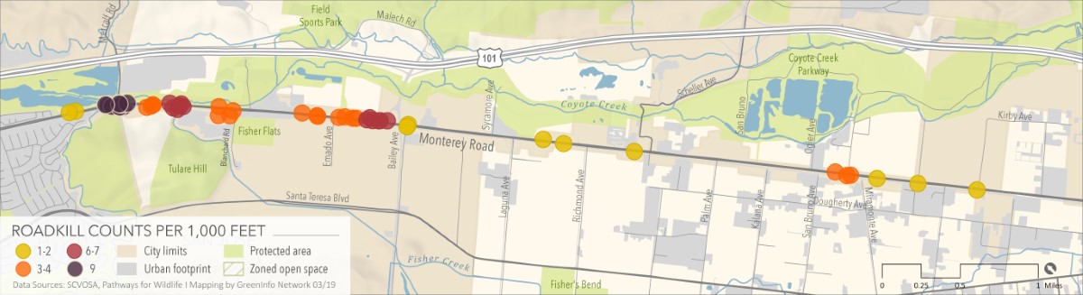 Mapping Wildlife Crossings in San Jos&eacute; Banner